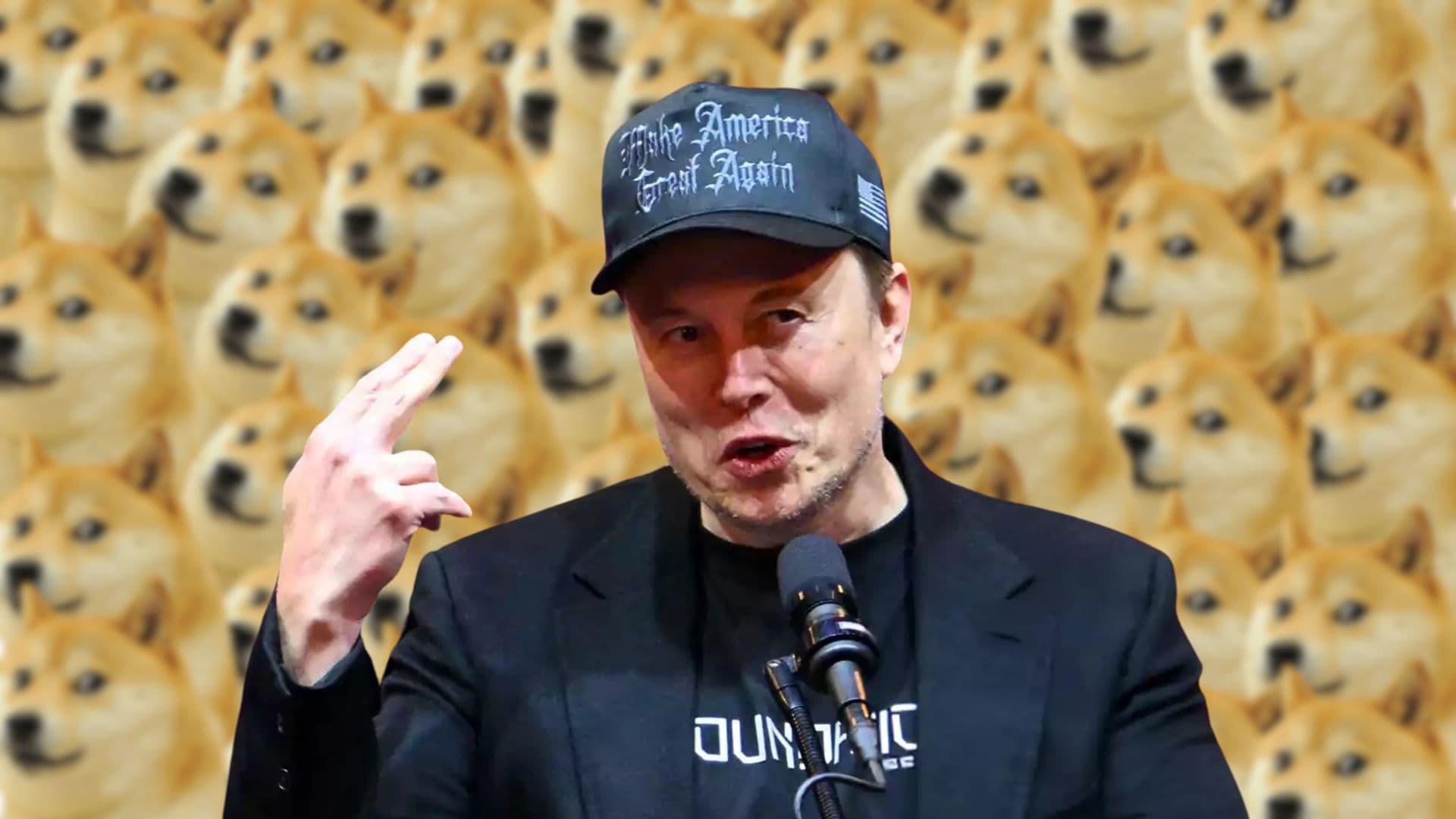 Elon Musk Joins Trump’s New DOGE Squad to Curb Government Spending