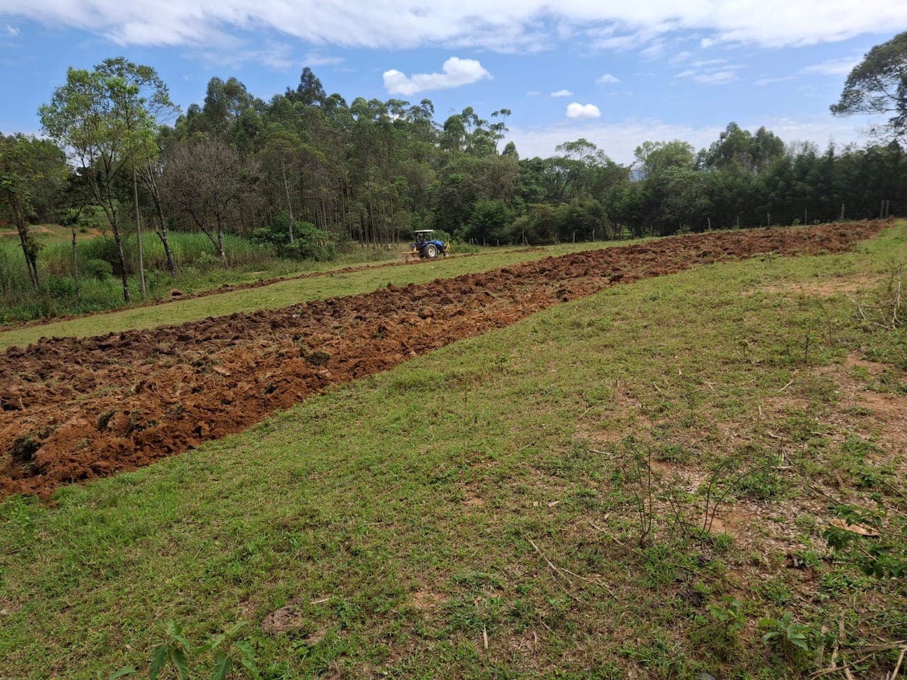 Dry Spell Looms in Kenya Weather Forecast For January-March 2025