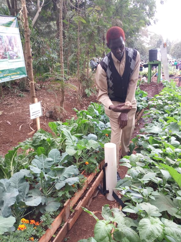 Wick irrigation system saves water and time for farmers