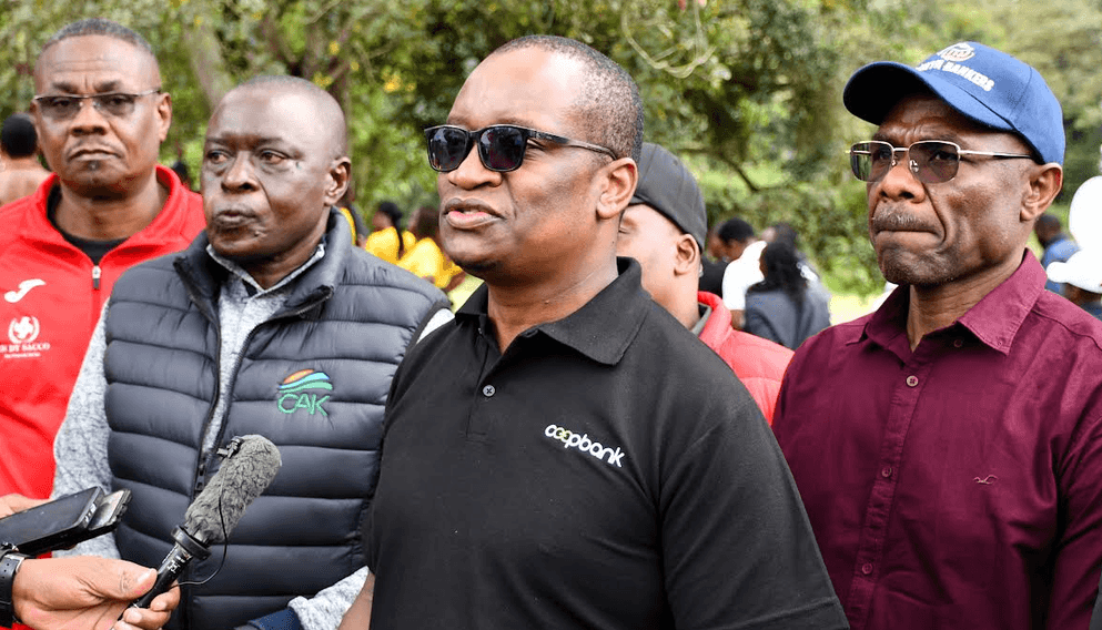 Kenya cooperatives renew commitment to support government’s 15 billion tree agenda