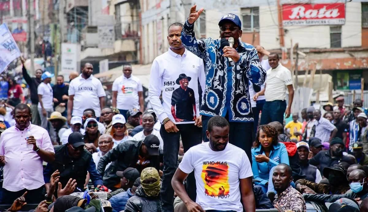 Police commend Kenyans for peaceful Linda Mwananchi Jacaranda political rally