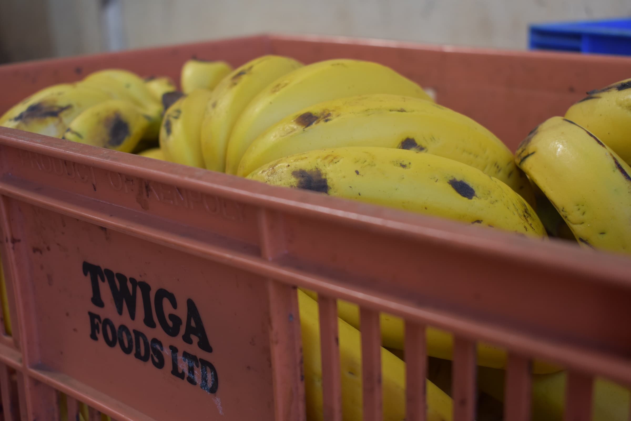 Agricultural supply platform announces plans to test farmers’ produce for safety