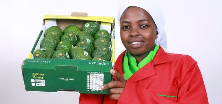 Digital marketplace enrolling farmers to meet global demand