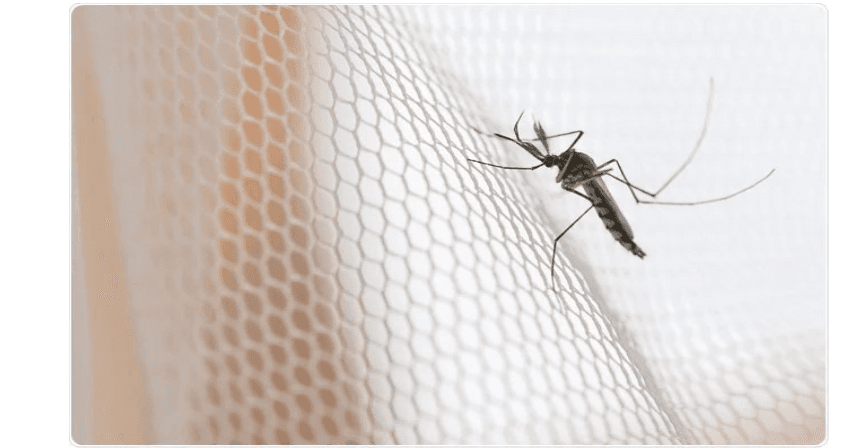 Lessons for Africa from a malaria free Belize