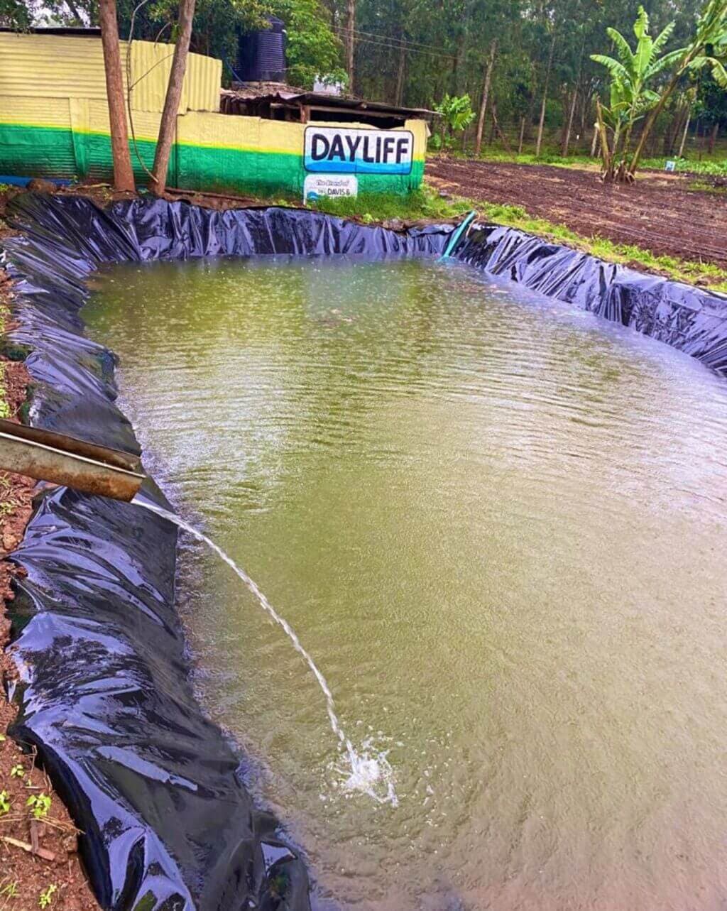 Vegetable farmers use water harvesting to sell produce at peak prices