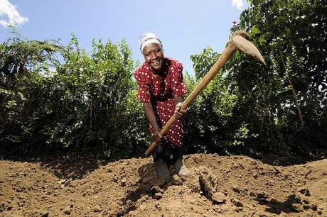 Consortium to roll out 100 Africa only crops