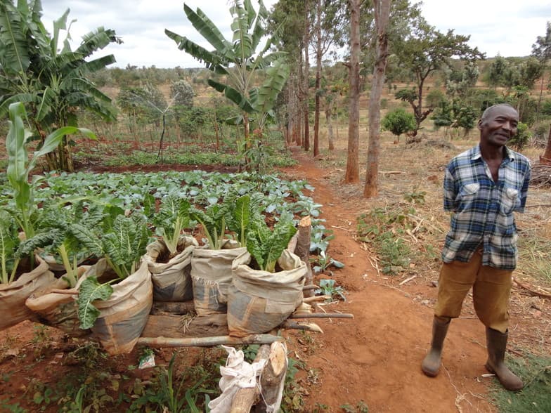 Government to reach 7million farmers with e extension