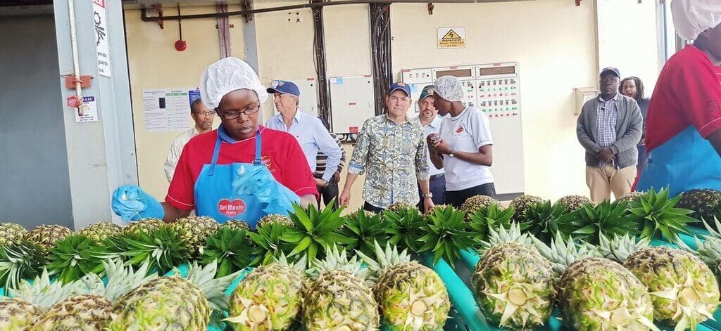 Del Monte to produce biofertilizer from pineapple waste for East African farmers