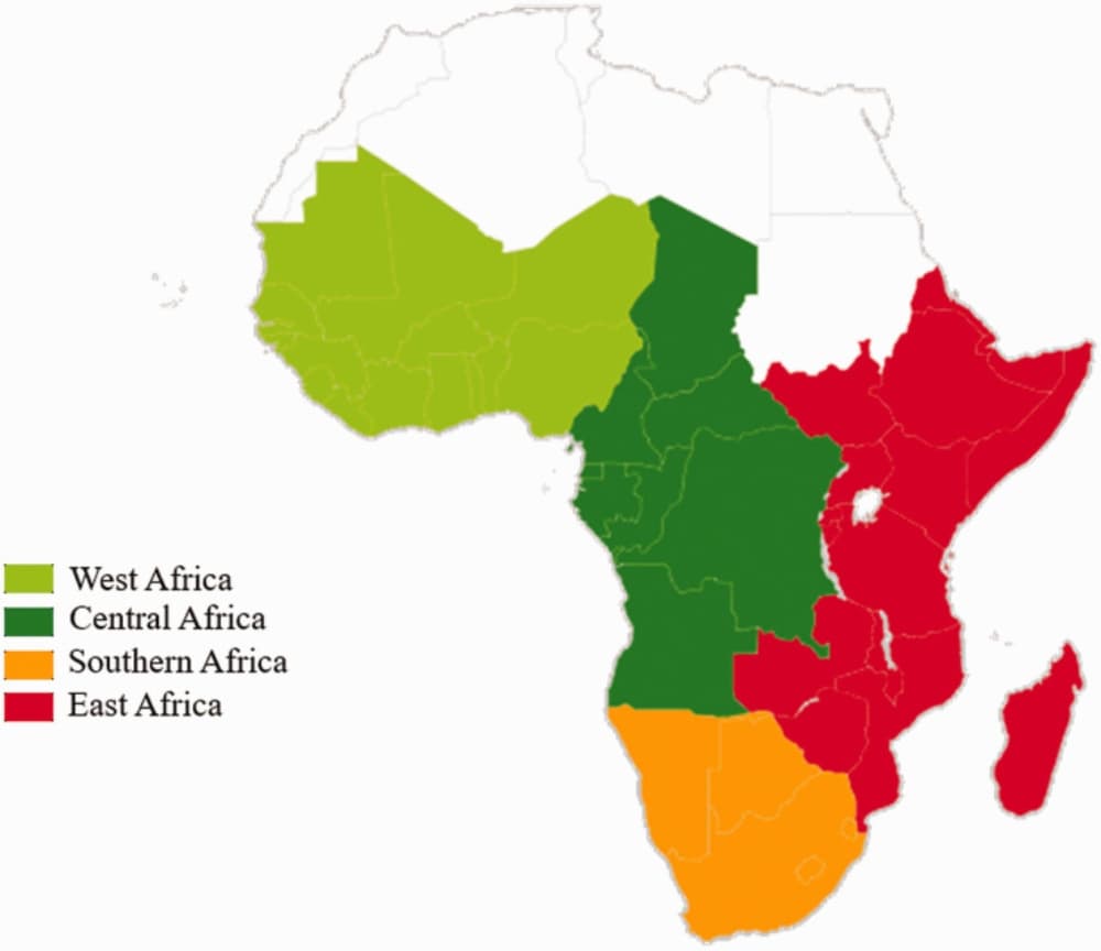 Trailblazing African women join forces to tackle Breast Cancer on continent