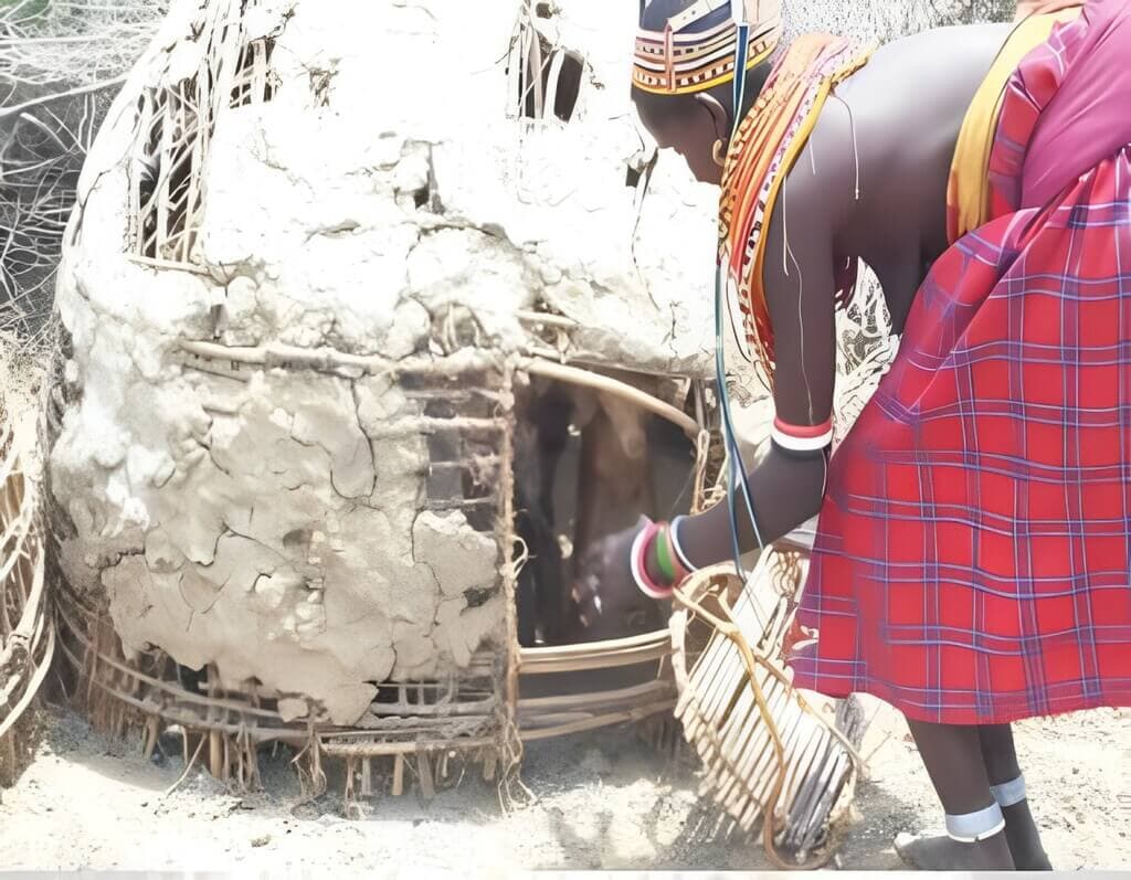 Movable house for goats and sheep reduces deaths by 25 per cent