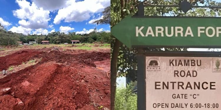 Court Issues Orders On Alleged Secret Barracks Construction in Karura Forest