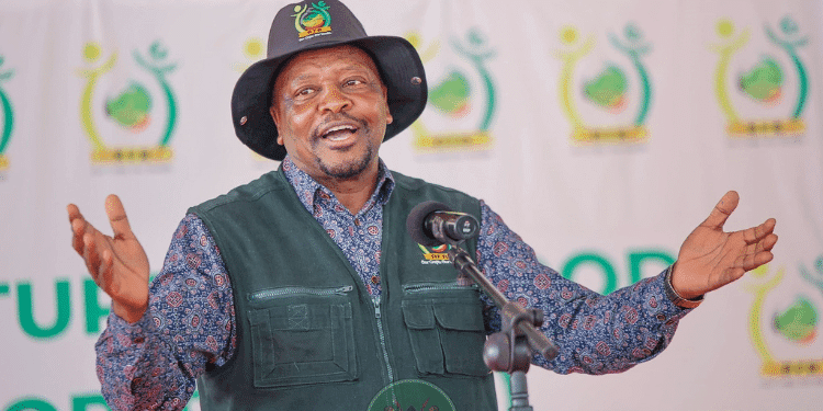 Relief for Farmers as Govt Slashes Maize Seed Prices