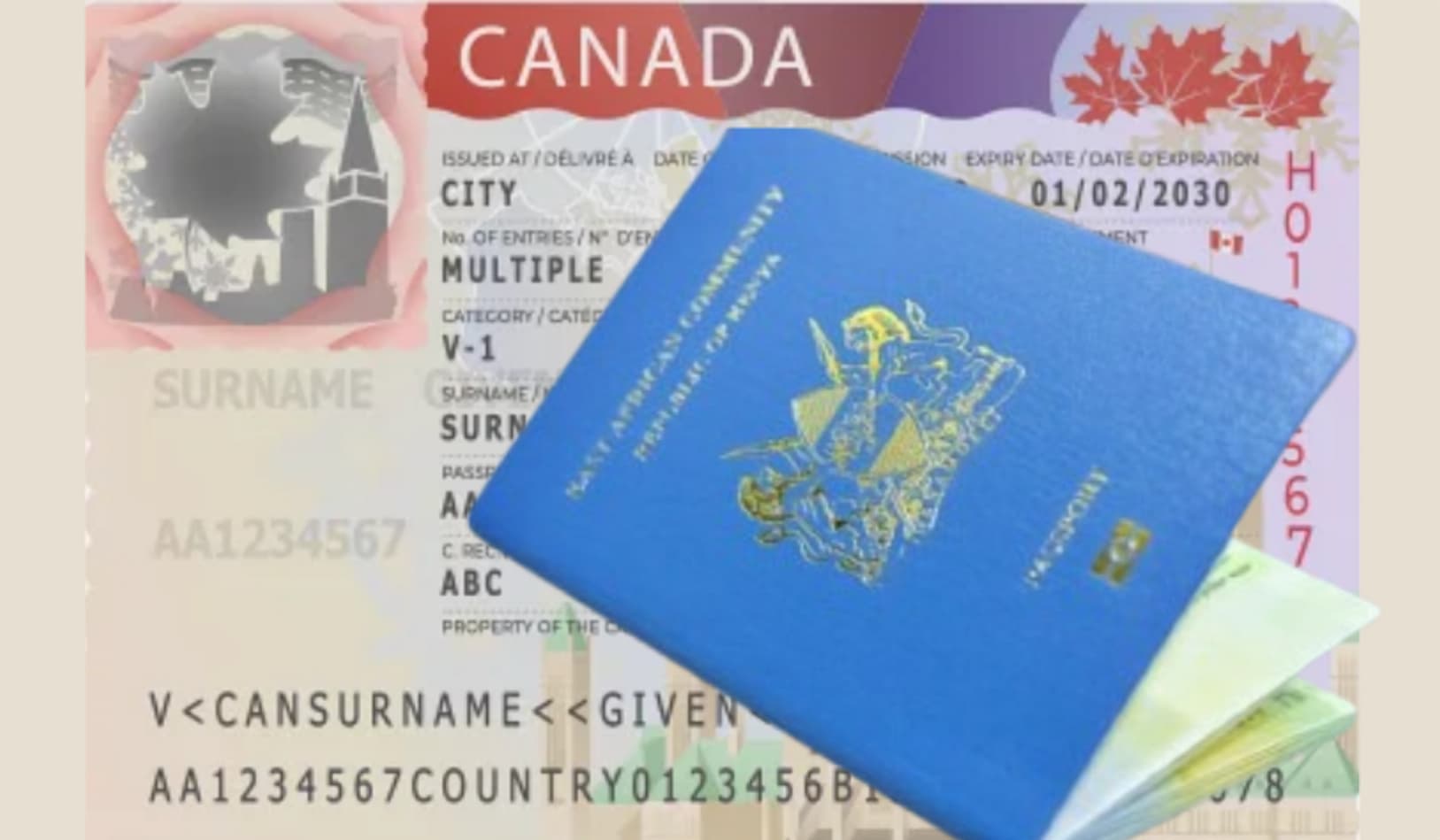 Number of Kenyans given Canada visitor visas falls 72pc in one year