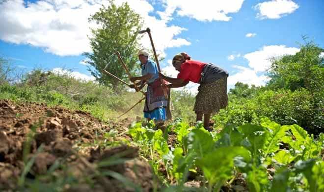 Soil erosion wipes nutrients and incomes