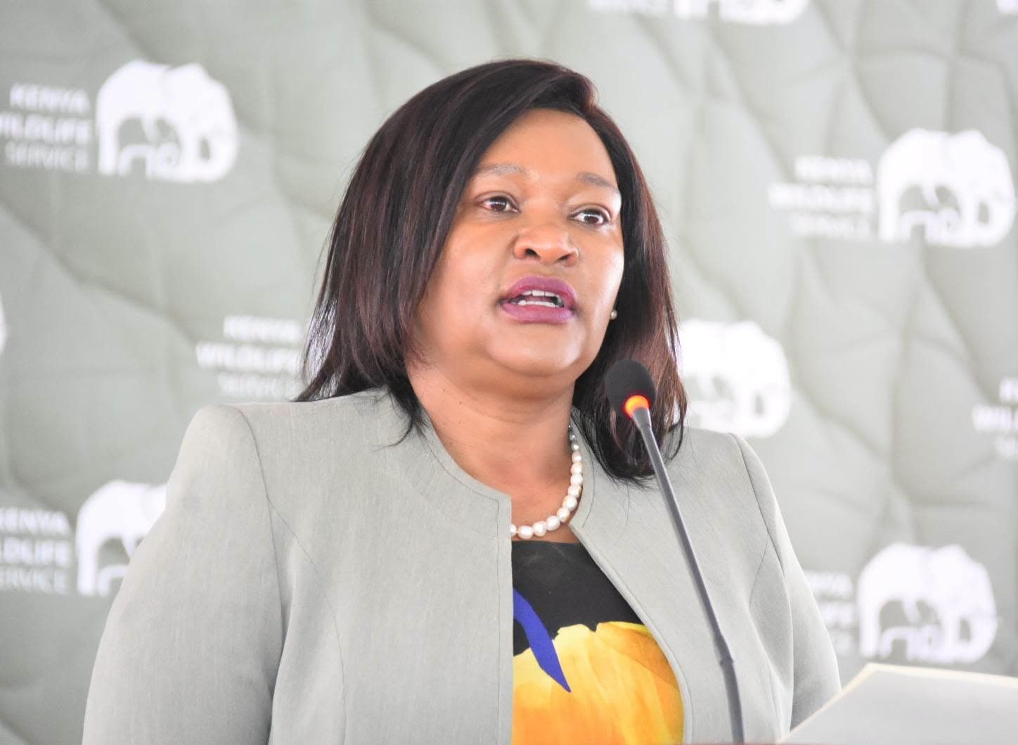 State to recruit more rangers to beef wildlife surveillance