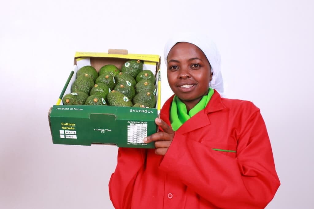 Good news for Kenyan farmers as global avocado prices double on high demand