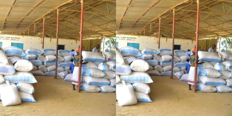 Top Govt Officials Given 7 Day Deadline to Account for 490,000 Tonne Rice Import Scheme