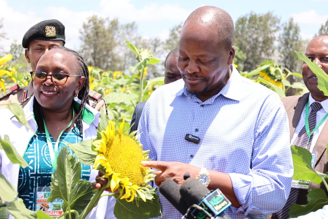 Sunflower-soybean initiative to curb edible oil import bill