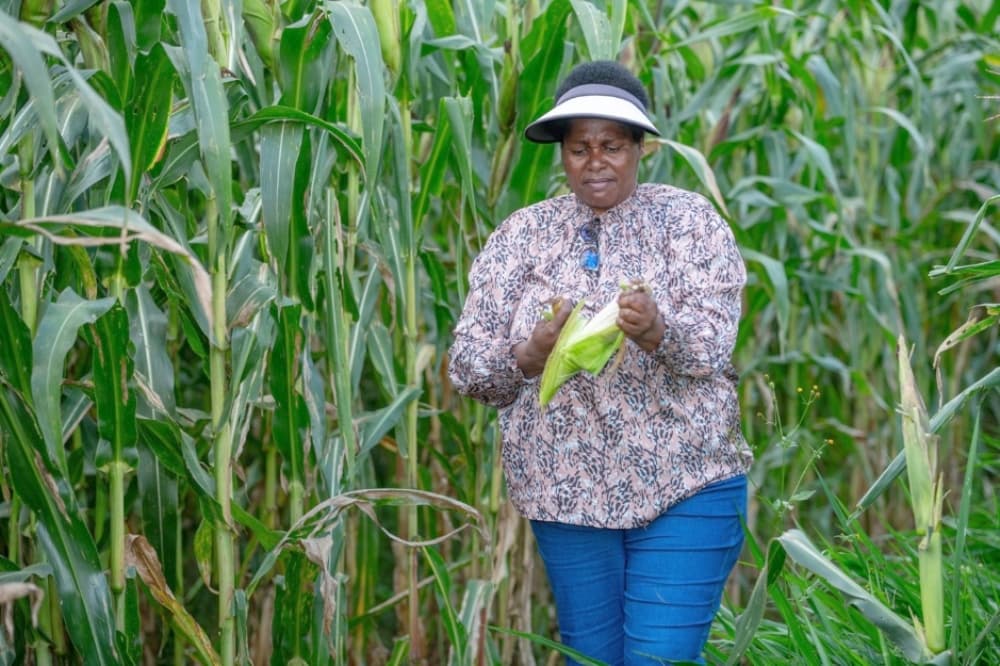 Eglyne Chepchirchir expands Pembeni Farms with Equity loan in Trans-Nzoia