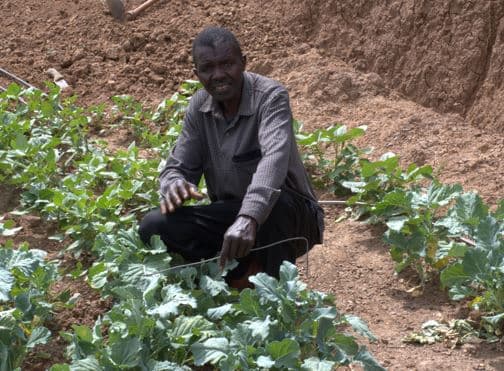 Man reclaims rejected land, turns it to a source of livelihood