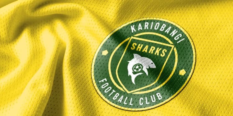 Who Owns Kariobangi Sharks? Ex-FKF Boss Behind the Club at The Center of Relegation Row