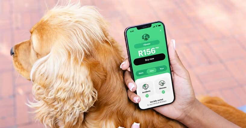 Naked Launches Pet Insurance in South Africa From R40 a Month