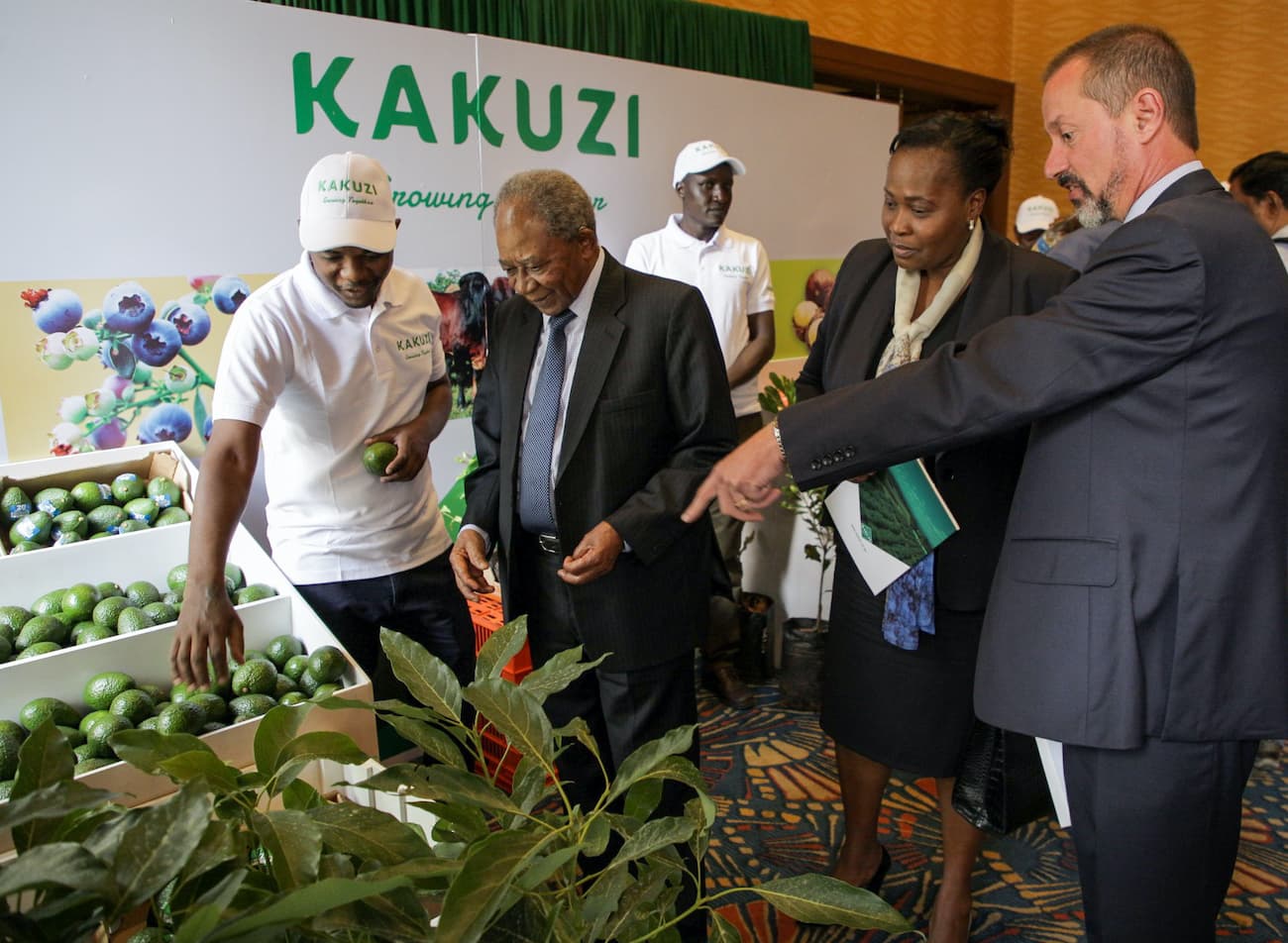 Kakuzi Half-Year Earnings Plunge 97.7% to KSh 10.4m on Geopolitical Instability Hiccups