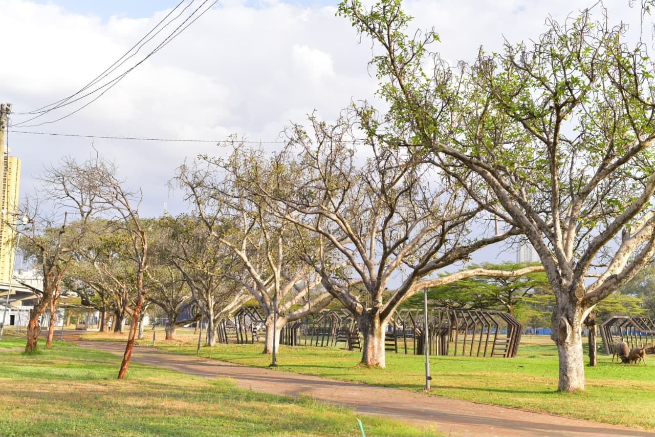 Central Park reopens as Nairobi restores a landmark to the people