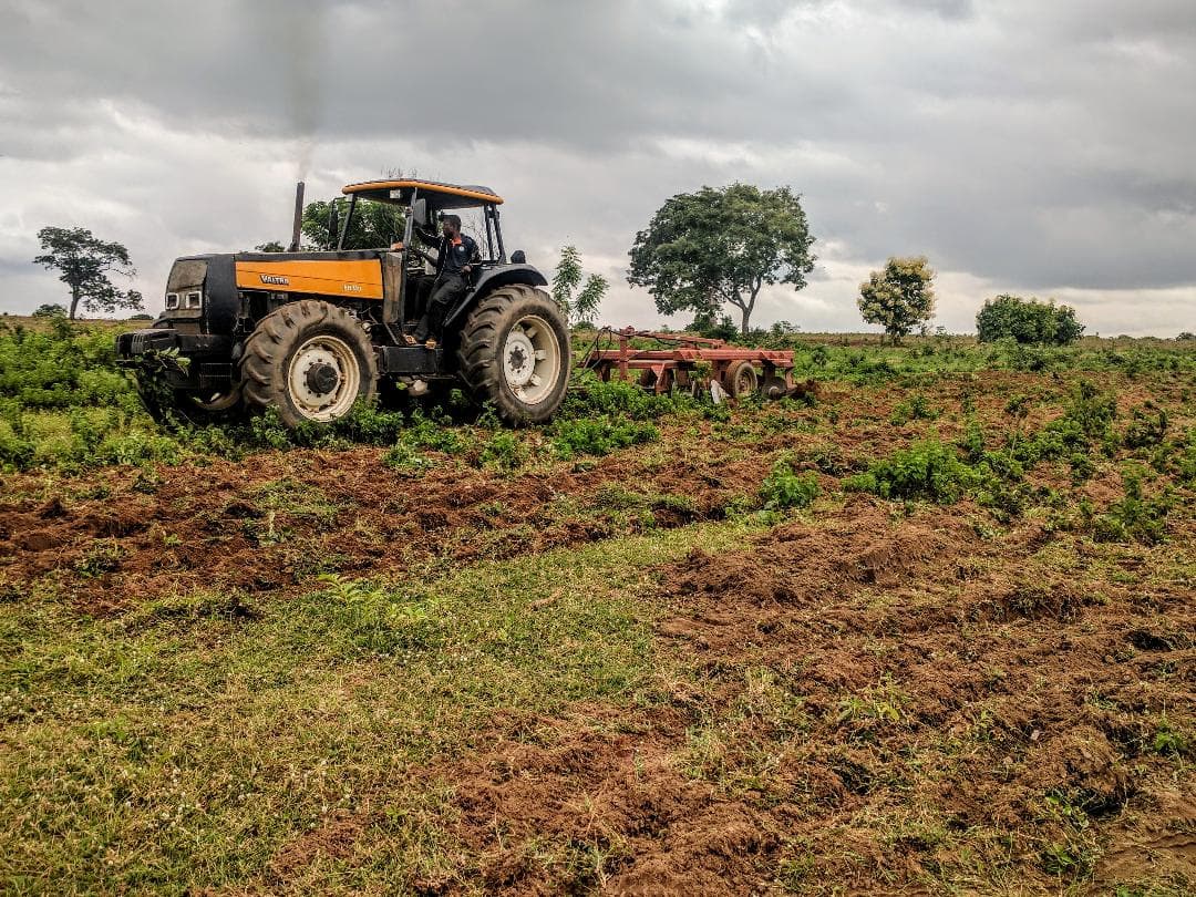Kenya’s GDP up 5% in 2023 owing to agriculture sector rebound