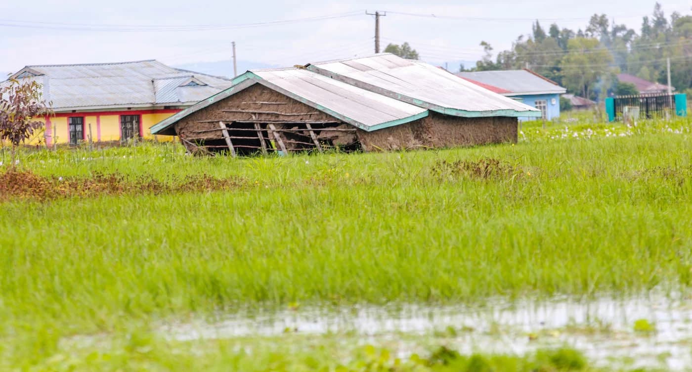 Data-Driven Farming Records Triple Win in Kenya