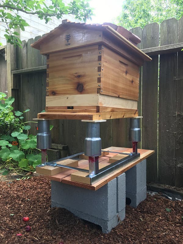 Grease mixed with Vaseline and curry powder keeps off crawling insects invading beehive