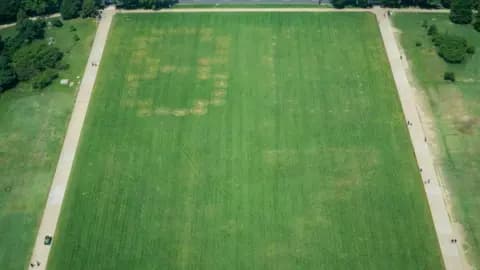 Police investigate ‘8647’ written in grass on US national mall