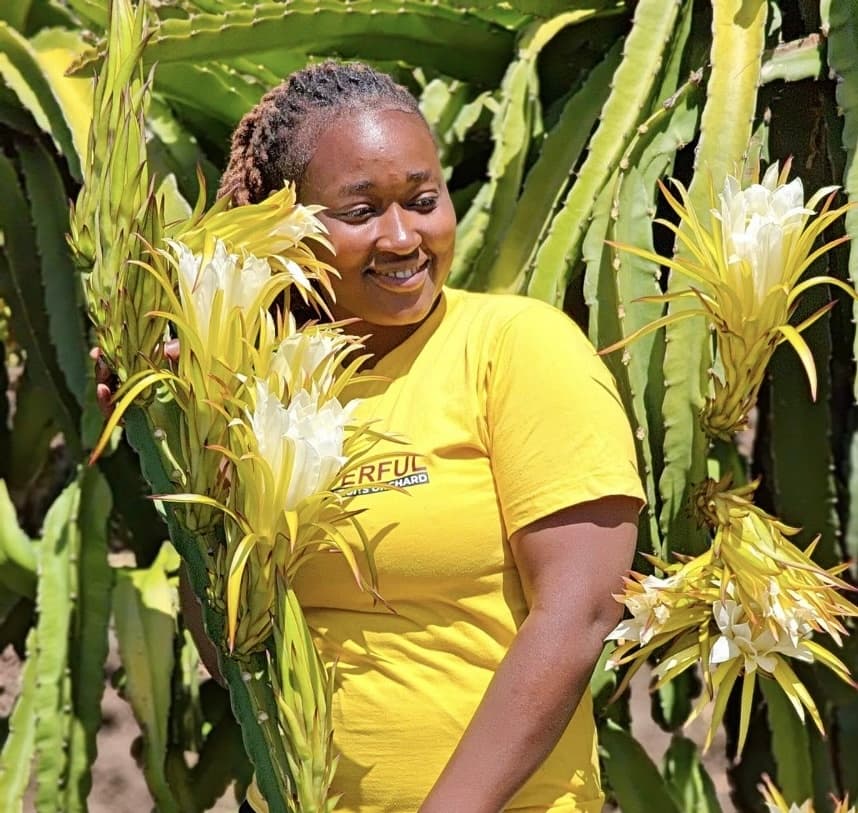 Dragonfruit leaders brace for price falls by investing in value addition