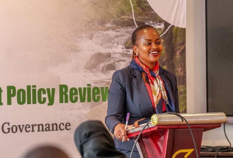 Technical Working Group validates first draft of National Environmental Policy