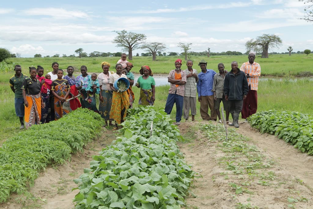 Local saving associations give farmers cheap, easily accessible credit