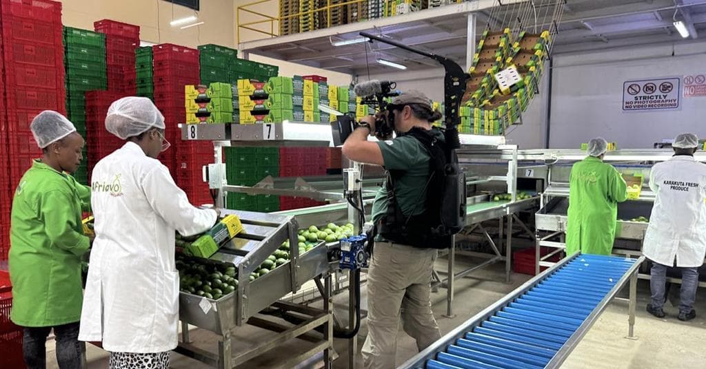 Karakuta Fresh Produce, Quickmart to List at the NSE as IPO Rains Persist