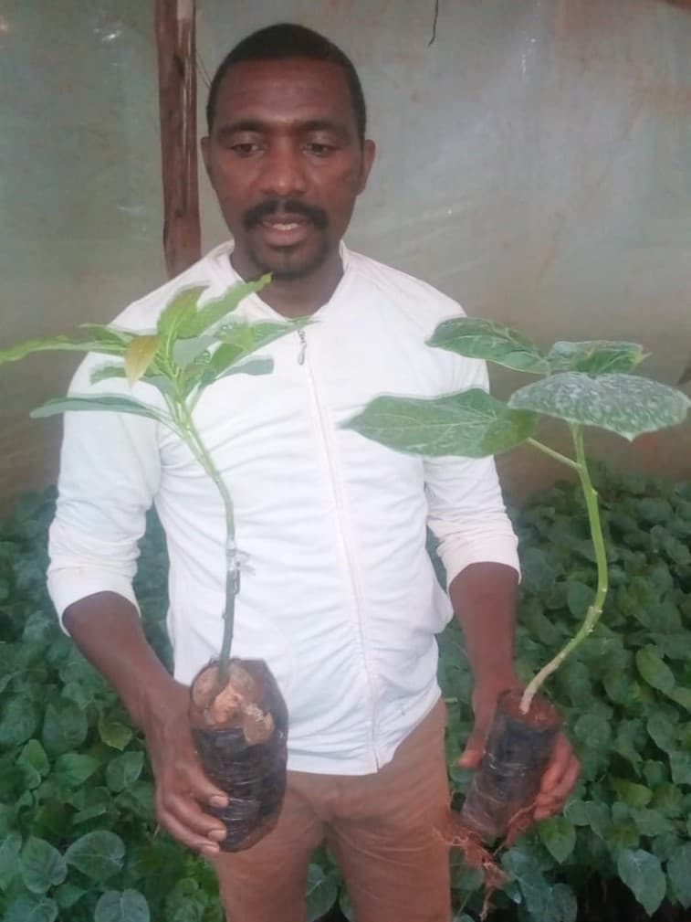 Former fine art expert finds steady income in raising seedlings