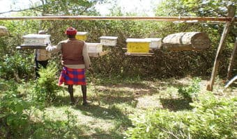 International markets open up to semi arid Kenya’s bio products