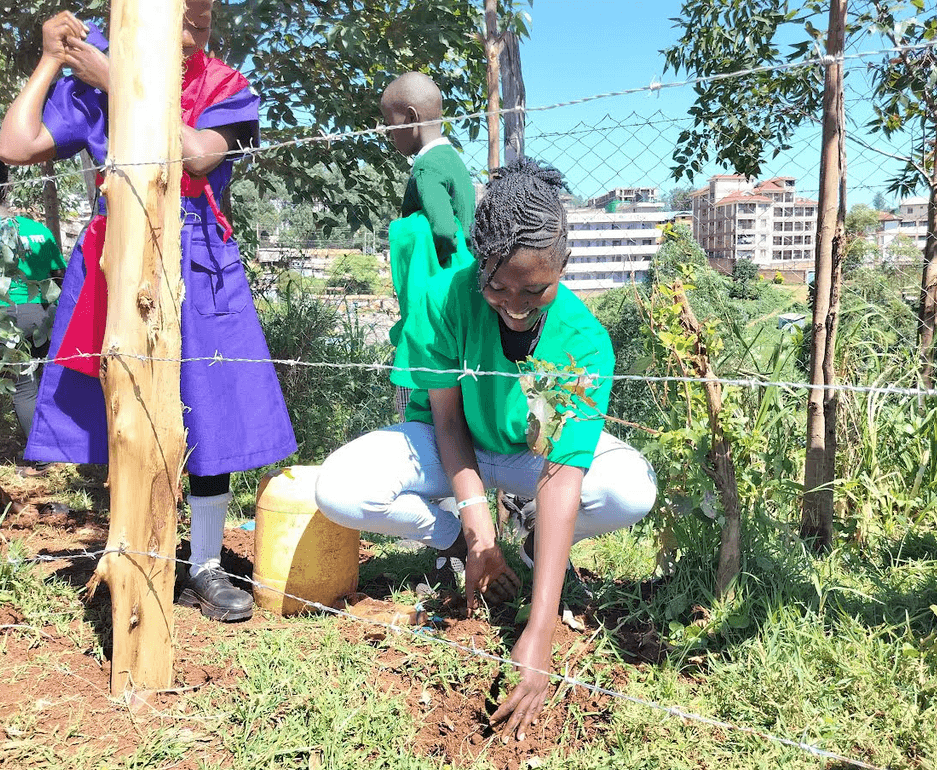 Kisii National Polytechnic donates 3,500 tree seedlings to mark Environment Day