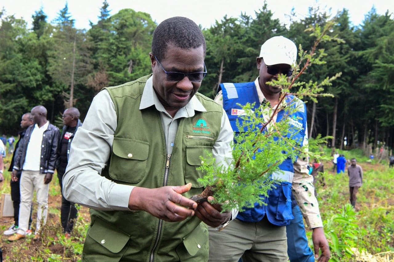 Wandayi Tells Gachagua to Stop Attacking Public Officers Over LPG Crackdown