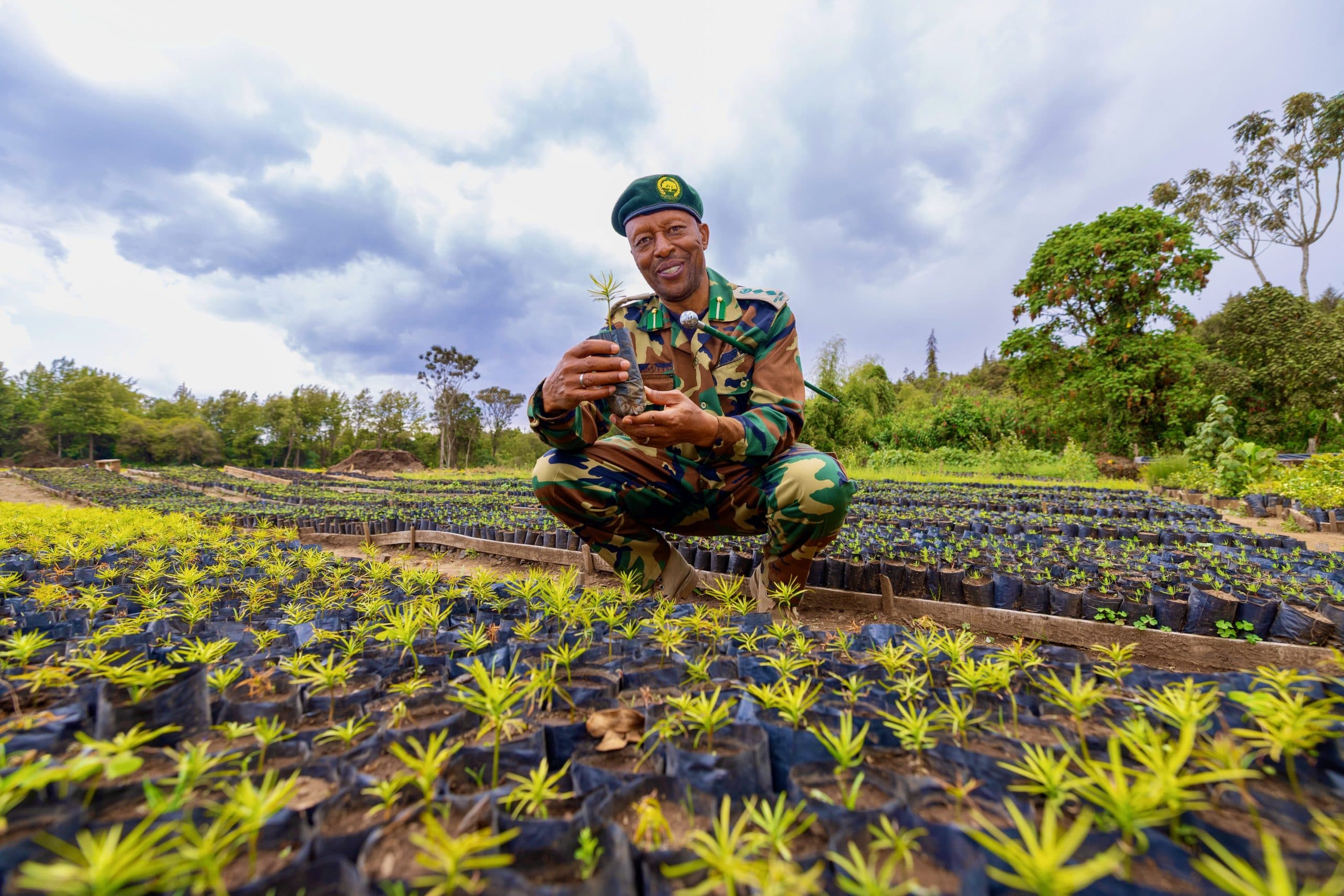 Kinale nursery ramps up to 8M seedlings for Kenya’s 15B tree goal
