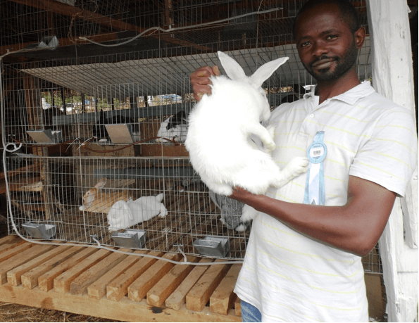 Mombasa farmer builds rabbit business on discounts