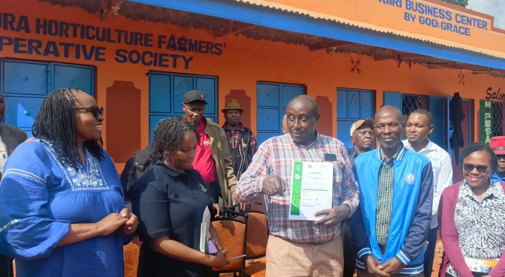 Murang’a farmers secure landmark certification for European export market