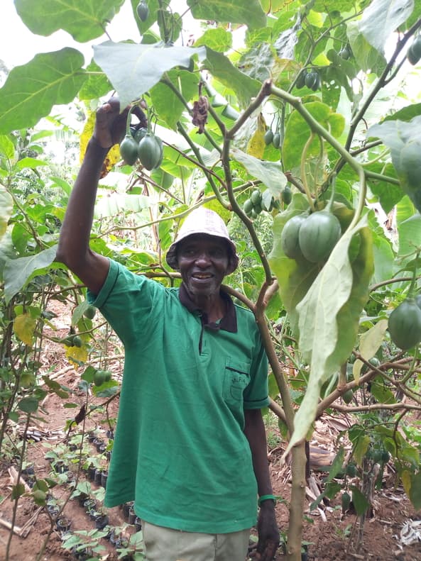 Water harvesting saves an 84 years old Machakos farmer as peers suffer during drought