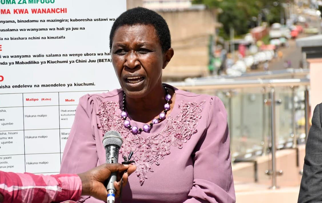 Proposed livestock bill to improve quality, earnings and curb theft