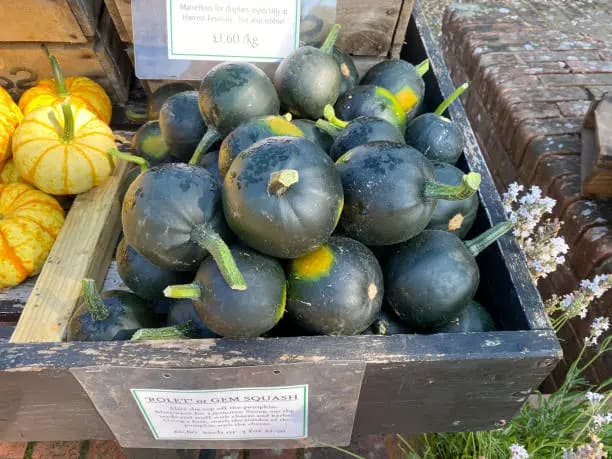 How Long to Cook Gem Squash