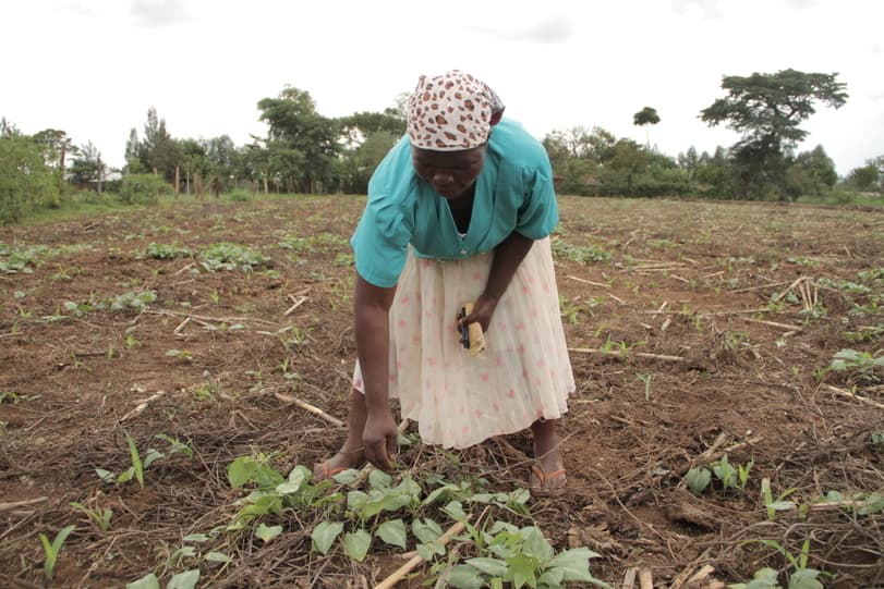 Kenya farmers grow yields and income with conservation agriculture