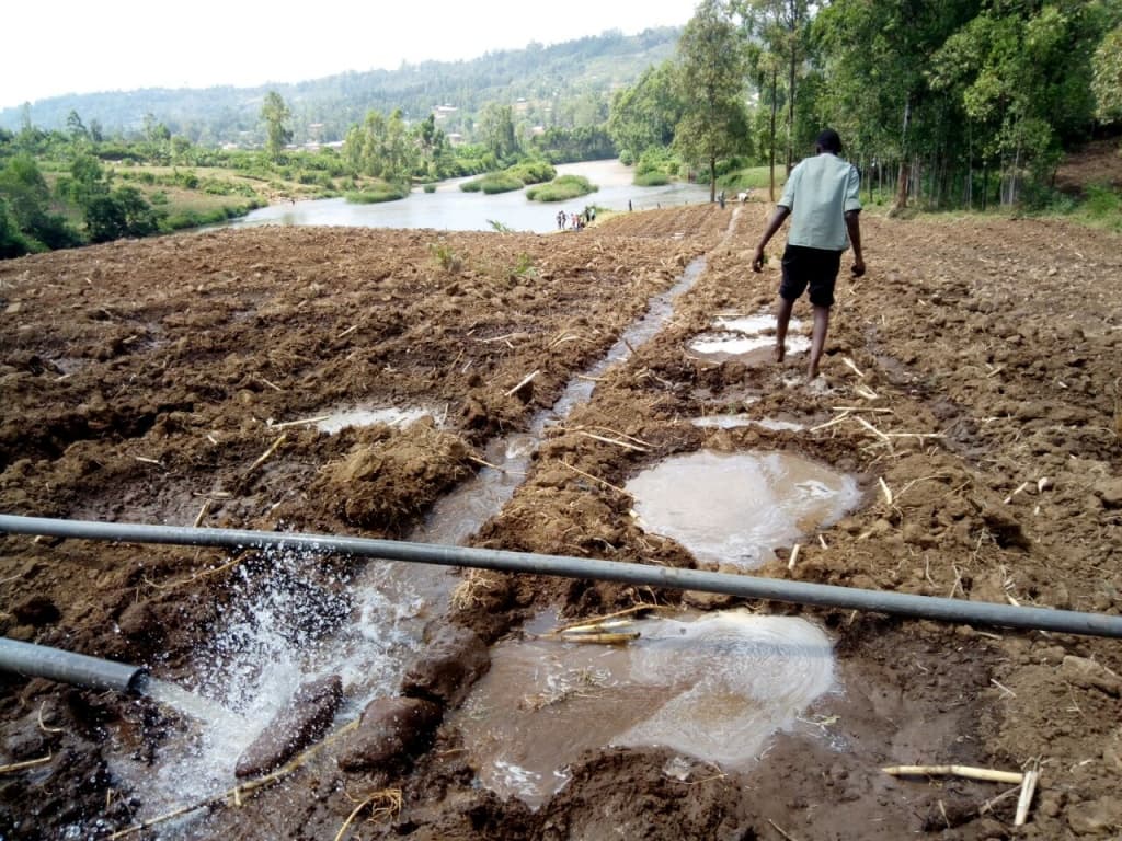 This dry season: Nyamira farmer teaming with colleagues to make good use of water sources