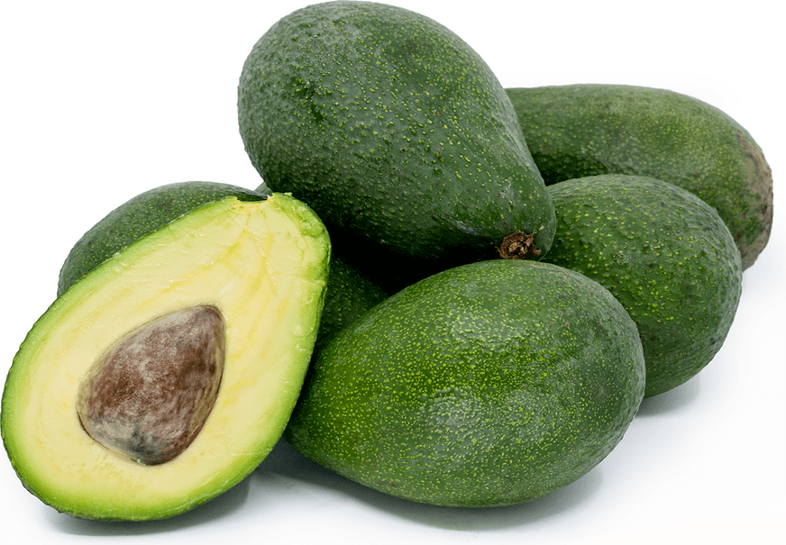 FarmBiz TV:Intercropping Hass and Fuerte avocadoes can earn more than double yields .