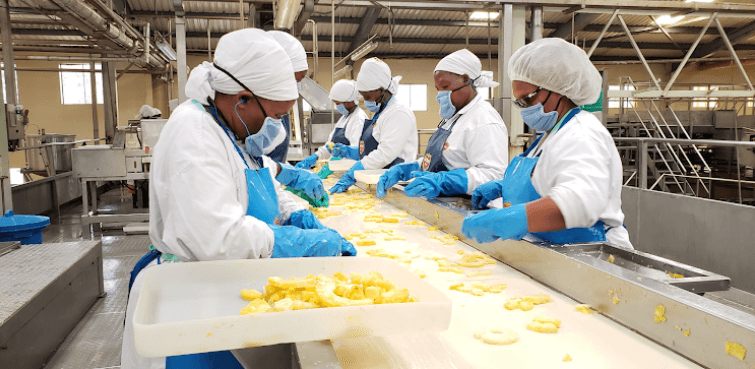 Del Monte Kenya to Convert Pineapple Waste into Fertiliser